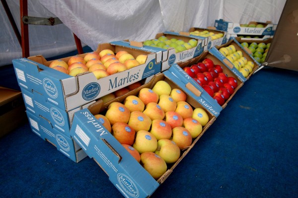  Je Suis La, Pour Vous - fruits et légumes fruits et legumes bio et natturel avec une bonne qualite´ .--pour plus d'information merci de contacter sur mon gmail 