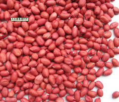  Red-skin Peanut 40/50, 50/60 - fruits secs et graines grillées bonjour chers coll&egrave;gues, ----je cherche des fournisseurs des cacahu&egrave;tes &agrave; peau rouge (red skin) avec un calibrage de 40/50, 50/60 pour des drag&eacute;es chocolat&eacute;s.--si vous etes int&eacute;ress&eacute;s , merci de me contacter.--cordialement  