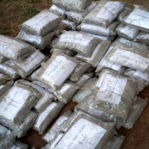  Recherche Du Concombre De Mer En Poudre - poissons bonjour ,  je suis a la recherche de fournisseur de concombre de mer en poudre en provenance du cameroun,  ci vous disposer veiller rentre en contacte avec moi.