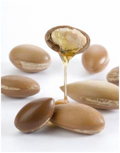  Huile D'argan - huiles huile d'argan du maroc non torréfiée,  certifiée bio ( ce; nop),  extraite à pression à froid. livrée dans des emballages à choix-  10l,  25l,  200l ou ibc 1000l equivalant à 950kg 