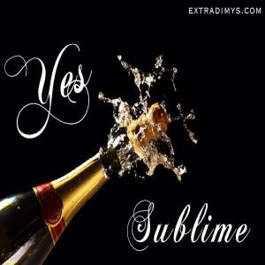  To Domaine Vins/spiritueux/champagne - boisson alcoolisée recherche partenaires et clients b to b domaine vins/spiritueux/champagne je dispose d'un large réseau de fournisseurs européens distributeurs de produits exclusivement aoc et marques mondialement connues et reconnues.