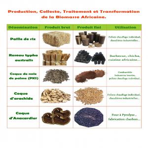  Pellets Briquettes Pks De Torréfaction... - energie renouvelable nous sommes dans la production,  la collecte,  le traitement et la transformation de la biomasse solide du type coques de palmistes,  coques d'arachides,  coques de noix de cajou...et la biomasse de type ligneux,  roseaux,  mercanthus,  typha. nous cherchons des partenaires s&eacute;rieux et capables  de m