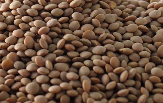  10 Tonnes De De Lentil Deja Disponible Au Senegal - fruits et légumes lentil de tr&egrave;s bonne qualit&eacute; export&eacute; du canada d&eacute;j&agrave; disponible &agrave; dakar. possibilit&eacute; de livraison partout au senegal. ------
