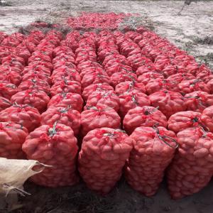  Le Client Est Roi - fruits et légumes bonjour chers membres. je suis à la recherche de client pour vendre mes produits de pommes de terre de la zone des niaye en quantité et qualité avec un bon prix 225fcfa le kilo.c'est moi qui est chargé de tout. tu viens avec ton camion de 30 t à 40 t on te charge e