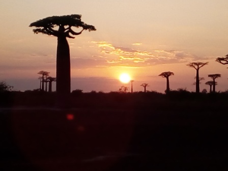  Tourisme Ecologique - Investissement capitaux nous recherchons des investisseurs qui veulent travailler avec nous pour un projet de tourisme écologique. nous disposons d'un terrain de 2 ha dans une site touristique très fréquenté le tsingy du bemaraha . un complexe hôtelier est idéal dans le site vu que 