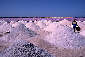  Fournisseur De Sels Sénégalais - épices aromates nous sommes fournisseurs de sels sénégalais. nous travaillons avec des coopératives sauniers et sommes conformes à la réglementation européenne. --n’hésitez pas à nous contacter pour des informations supplémentaires. --bien cordialement 