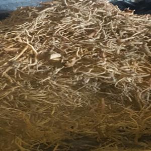  Racines De Saponaire - matiere vegetale nous disposons d'une importante quantité de racines de saponaire officinale ainsi une très bonne qualité au maroc. 