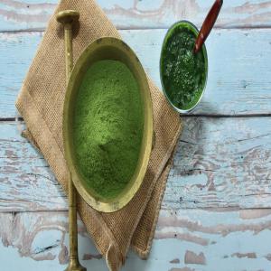  Légumes Secs Bio - fruits et légumes nous vendons des l&eacute;gumes secs. produits certifi&eacute;s bio. pays d'origine hongrie. l'offre infogross comprend- &eacute;pinards,  persil,  chou fris&eacute;,  brocoli,  citrouille,  luzerne et bl&eacute; vert. emballage - sac de 25 kg. commande minimum de 500 kg dans un assortiment. prix compren