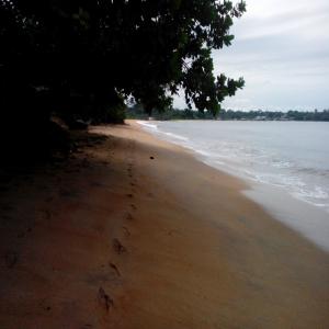  Terrain Au Bon Relief Pieds Dans L'eau Kribi - mine terrain concession  plusieurs parcelles de terrains en bordure de mer &agrave; kribi pour vos multiples investissements. des lots tr&egrave;s interessants dans les quartiers calmes. merci de me contactez pour plus de d&eacute;tails.--  s'il vous plait des personnes s&eacute;rieuses uniquements.