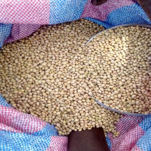  Recherche D'aliment Pour Poissons - aliments pour animaux je suis un professionnel du domaine de pisciculture, dans min pays nous sommes en train de nous inscrire dans une dynamique qui permettra de couvrir le maximum les besoins en produit halieutique, le plus grand soucis est l'alimentation des poissons.cet aliment est un des facteurs qui limite l'é
