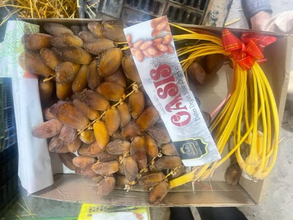  Les Dattes Deglet Nour D'algérie - fruits et légumes fournisseur professionnel de dattes deglet nour – alg&eacute;rie je suis un fournisseur alg&eacute;rien sp&eacute;cialis&eacute; dans la production et la commercialisation de dattes deglet nour premium issues des palmeraies du sud alg&eacute;rien (tolga – biskra). nous proposons une qualit&eacute;