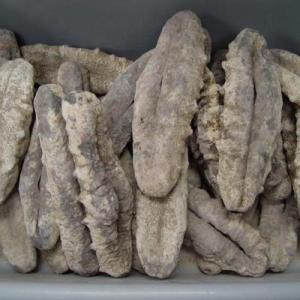  Concombre De Mer Séché Et En Poudre - autres 1.product nom,  concombre de mer séché et en poudre .----2.concombre de mer sauvage----3.humidité <3%----4.gonflement 1-10----5.salinité <1%----6.couleur- noir/brun foncé----7. trois tailles-60-80pie.c.e./kg(7-9cm/pièce,  14.5-17g/pièce), 160-180pi&egrav