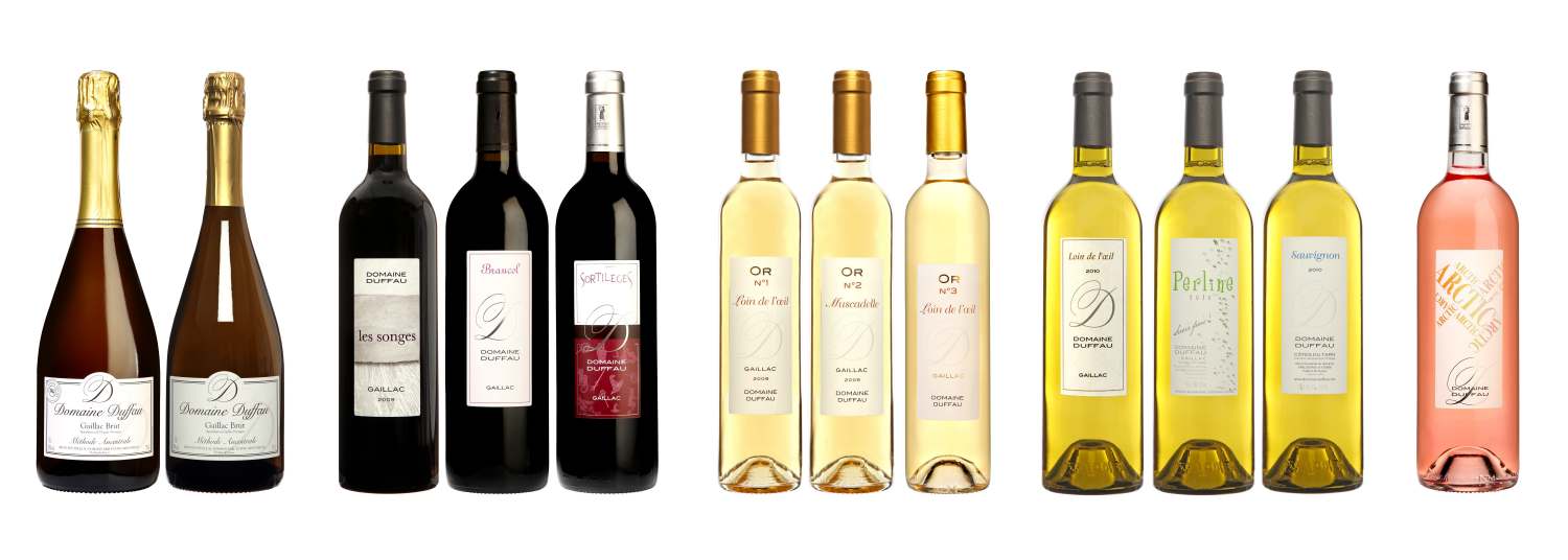  Vin Français Gaillac Conversion Bio - vins petit domaine familial en troisième année de conversion bio en appellation gaillac recherche partenaire(s) sérieux pour distribuer nos vins de qualité - rouges,  mousseux,  blancs,  doux. certains vins sont primés. pour plus d'information consulter notre site internet