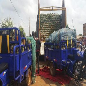  Vente D'ananas Et Son Jus - jus concentré sirop comment allez vous--pour vous qui avez voulus avoirs votre propre entreprise mais qui n'ont pas les moyens le groupe globale r&eacute;seau mais a votre dispositions une solutions nous pouvions vous faire des jus d'ananas et mettre votre insigne vos pr&eacute;f&eacute;rences, alors rejoignez nous et v