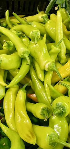  Vente Piment Vert - fruits et légumes exportateur des fruits et l&eacute;gumes d algerie produits disponible toute l ann&eacute;e piment , poivron,  tomate,  pomme de terre  oignon rouge l huile d olive etc...--nous recherchons des clients s&eacute;rieux &agrave; l international.