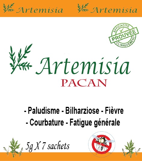  Artemisia Afra Et Annua En Destockage - matiere vegetale le thé arpacan est une tisane 100% naturelle faite à base d'artémisia afra ou annua. c'est le plus grand remède du paludisme et de la bilharziose. il est aussi très bien pour remonter l'organisme en cas de fatigue générale comme un thé. le cart
