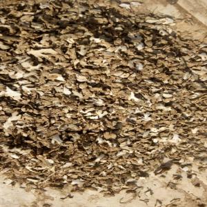  Gingembre Séché Au Soleil - fruits secs et graines grillées gingembre sech&eacute; au soleil- bon de commande irr&eacute;vocable,  contrat,  mise en place acompte bancaire / avance de 80% a la commande,  chargement de la marchandise,  transmission des documents,  payement du solde et convoyage de la marchandise--