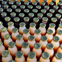  Hibiscus Tamarin Baobab Gingembre Noix De Cajou - fruits secs et graines grillées nous sommes artisans - producteurs de boissons non alcoolis&eacute;es et produisons annuellement 20 000 litres de jus avec un objectif de 60 000 litres de jus &agrave; moyen terme (4 ans).----nous recherchons des contacts avec des groupements de producteurs -trices au burkina faso pour renforcer not