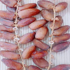  Business Prospect - roasted seeds and nuts we  are  a  tunisian  company  ;  specialized  in  the  packaging and              exportation  of  deglet  nour  dates  category  1,   freshly  harvested in  2018  with excellent quality,  we  have the experience of working with most  of the reputed importers  of dates all over the world. as a confid