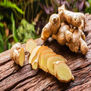  Gingembre Frais Ou Séché De Madagascar - épices aromates nous cherchons des clients ou partenaires pour nos gingembres frais et séché qui sont originaire de l'est de madagascar. gingembre frais- 1 euro le kilo,  conditionnement- en sac de 50kg; gingembre séché- 10 euro le kilo,  conditionnement- en sacs plastique hermétiqu
