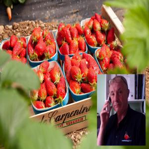  Centrale De Vente En Fruits Et Legume - fruits et légumes vous etes producteurs,  expéditeurs de fruits et légumes;--vous souhaitez un partenaire commercial pour pénétrer le marché de la distribution (gms,  grossistes,  export....)----notre service commercial vous accompagne ---le temps d'une production,  d'une saison et plus