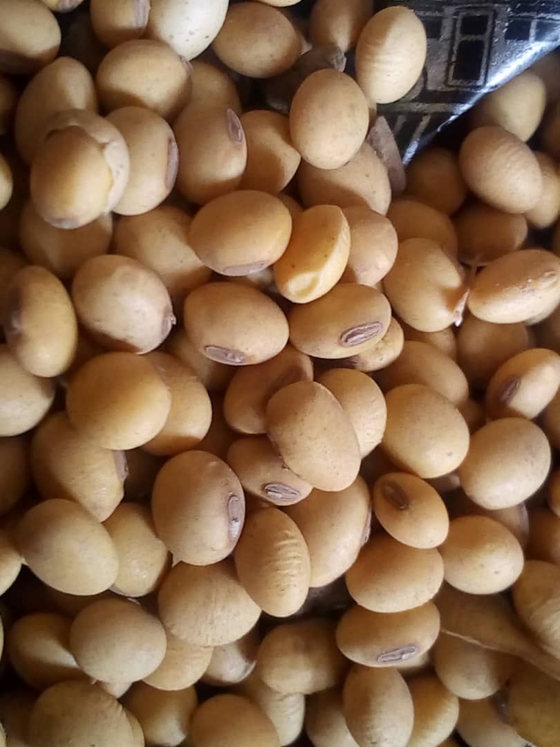  Je Dispose De Stock De Soja, Maïs Et Sésame - autres je dispose d'importants stock de soja , maïs et sésame. nous pouvons mettre à disposition plus de 100 à 1000tonnes pour le maïs et le soja. nous nous chargeons du transport.