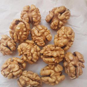  Any Dried Unpacked Fruits And Legumes - roasted seeds and nuts  a manager of the supplying and trading company ,  uzbekistan. we offer any dried unpacked fruits and legumes like almond,  nuts,  walnuts,  pistachio,  raisin,  lentils and  etc. in any amount. surely,  the quality is guaranteed. as well as we can export our product to any country of the world.--