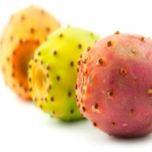  Figue De Barbarie Bio - fruits et légumes on est  une soci&eacute;t&eacute; tunisienne totalement exportatrice qui produit et export les fruits tel que -la figue de barbarie.--- la figue de barbarie a des  nombreux bienfaits et vertus- --*/la figue de barbarie a une valeur nutritionnelle qui la distingue des autres fruits. --*/elle est rich