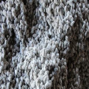  Graine De Coton - semence graine plant la graine de coton que nous fournissons sont en bon &eacute;tat,  marchand,  sans mauvaises odeurs et insectes vivants.----notre partenariat avec les grandes usines d'&eacute;grenage de la sous r&eacute;gion,  nous permet de n&eacute;gocier et de fournir r&eacute;guli&egrave;rement une importante quant