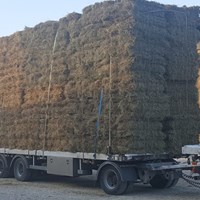  Paille Et Fourrages - aliments pour animaux petites balles de foin de montagne group&eacute;es en paquet de 14,  stock toute l'ann&eacute;e.--chargements foin par t&eacute;lescopique.--balles rondes 250 kg foin --balles carr&eacute;es de foin--paille espagne en balles de 70 x 120 x 240--paille petites bottes par paquets de 14----d&eacute;part 