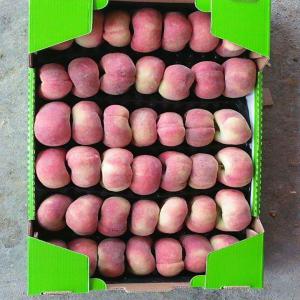  Fruit De Saison Pêche - fruits et légumes nous disposons une bonne qualité de fruits comme le peche de la saisons pour l'export.--transport aérien ou maritime.--n'hésitez pas à nous contacter pour plus d'informations.