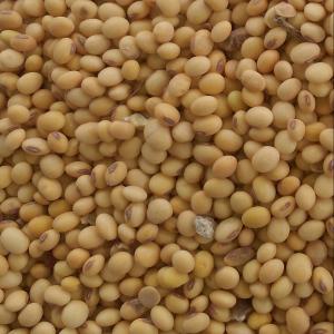  Fournisseur Des Tourteaux De Soja - aliments pour animaux nous cherchons des clients pour achat des tourteaux de soja.----nous pouvons livrer 400 t de tourteaux de soja par mois au prix de 435 € à l'usine.----les caracteristiques des tourteaux de soja sont---- taux d'humidité- 3%--- taux de protéines- 37, 31%--- taux de lipides- 10, 15%-