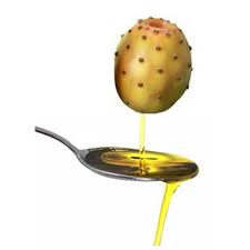  Huile De Pepins De Figues Barbarie Certifiée Bio - huiles nous sommes spécialisé dans l'extraction de l'huile de pépins de figue de barbarie issue d'une culture biologique et certifié bio dans toutes ses étapes.--nous cherchons des clients et des partenaires par tous dans le monde.--