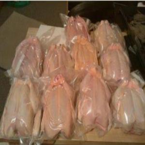  Whole Frozen Chicken Halal Certificate) - meat and eggs we are turkish chicken producer. we have only whole chicken with high quality. we have all certificates like halal certificate. we can supply differen size chicken.--contact with us directlly.