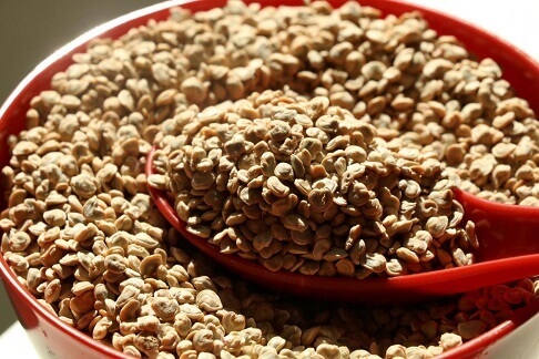  Organic Prickly Pear Seed Oil - huiles le savez vous ? --...--l'huile de p&eacute;pins de figue de barbarie ou l'huile des graines de figue de barbarie est ch&egrave;re &agrave; cause de la lenteur du processus de son extraction.--nous avons besoin d'une tonne de fruit de figuier de barbarie pour avoir un peu pr&egrave;s 30 kg qu'on va p