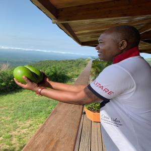  Vente D'avocats Bio Du Togo - fruits et légumes conditionné en carton. nous produisons dans les activités de notre coopérative agricole. nous recherchons à cet effet des acheteurs partout dans le monde.