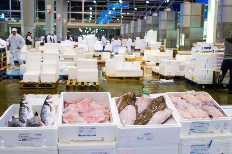  Poissonnerie - poissons bonjour, --nous vous proposons notre excellente poissons par demande. vous serez agréablement surpris sur notre qualité . --poisson frais ,  congelé de sud du maroc--les poissons sont frais ou congelé selon vos besoin! ainsi que tout sorte de crustacés ,  crevettes,  l