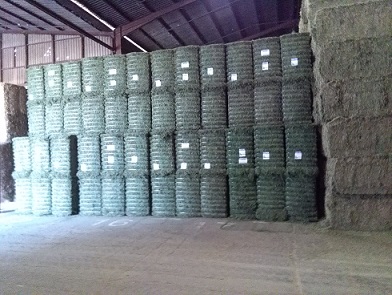  La Luzerne Déshydratée - aliments pour animaux caract&eacute;ristiques - notre luzerne d&eacute;shydrat&eacute;e contient de la teneur &eacute;lev&eacute;e en prot&eacute;ines de 18% et 20%,  libre de la poussi&egrave;re,  de l herbe,  de la terre et des pierres. le plus important,  libre des agents pathog&egrave;nes,  sans conservateurs ajout&eacute