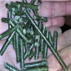  Le Meilleur Granule Luzerne - aliments pour animaux caract&eacute;ristiques - notre produit &agrave; base de granul&eacute;s de luzerne est de haute qualit&eacute; contenant de 16% &agrave; 18% de prot&eacute;ines et ne produit pas de tympanisme ni le plus important agent pathog&egrave;ne,  sans conservateurs ajout&eacute;s dans le cadre d'une utilisa