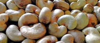 Anacarde De Guinee Conakry - fruits secs et graines grillées je suis en mesure de fournir une bonne qualité et surtout autant de quantité d anacarde a un prix défiant toute concurrence ,  bien-sur avec un partenariat gagnant  