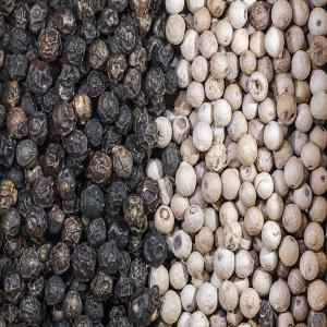  Poivre Noir Et Blanc - épices aromates salut nous sont des commerciaux camerounais et nous pouvons vous fournir du poivre blanc et noir de penja en grande quantité et sur une très longue durée.si besoin veillez nous contactez
