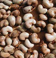  Importante Quantité De Noix D'acajou - fruits et légumes nous disposons d'une importante quantit&eacute; de noix d'acajou de qualit&eacute; 50 et plus disponible au s&eacute;n&eacute;gal,  modalit&eacute;s de livraison fob,  offre int&eacute;ressante,  livraison rapide,  possibilit&eacute; de rabais conditionnel. 