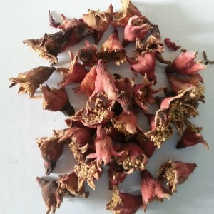  Fleurs Grenadier - matiere vegetale  nous pouvons vous proposer des fleurs de grenadier (punica granatum). plusieurs tonnes disponible/an en vrac. n'h&eacute;sitez pas &agrave; nous contacter pour toute demande d'information. cordialement.