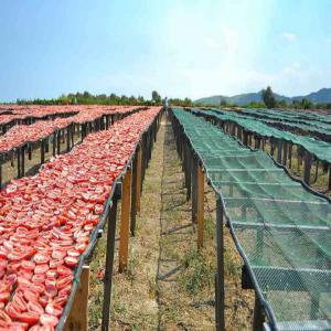tomates séchées au soleil  - fruits et légumes a vendre tomates séchées au soleil selon les normes d'hygiène emballées dans des cartons ,  qualité première--commande réservation fourniture  bc qualité première livraison par camion début juillet 2020 merci