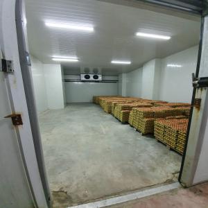  Grade Chicken Egg- 1tray (30 Pieces) - meat and eggs origin- turkey--size- small,  medium,  large--packing -30 eggs are packed in each chemically treated paper pulp tray. 12 such trays are packed in each 5 ply export worthy printed cartons every carton is labeled with brand name and specification,  production and expiry dates & country of origin eggs can
