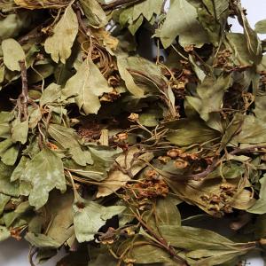  Aubépine Partie Aérienne - matiere vegetale bonjour, --nous pouvons vous proposer de l'aubépine partie aérienne.--possibilité de récolter à la demande selon la saison.--minimum à la tonne--n'hésitez pas a nous contacter pour toute information complémentaire.--vrac plusieurs tonnes disponi