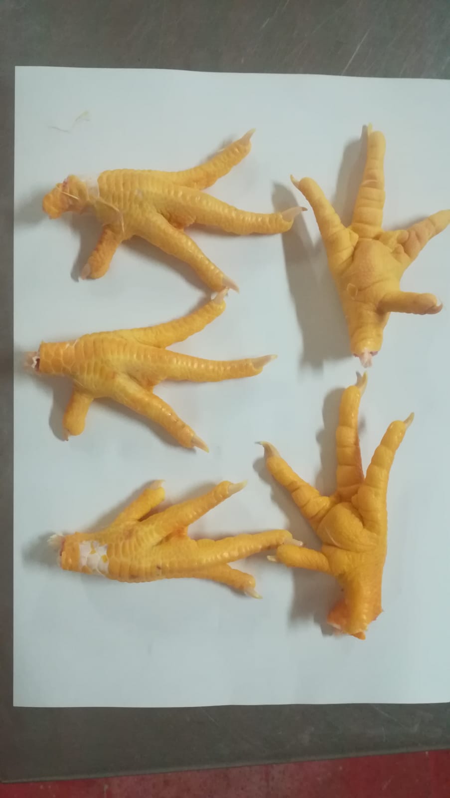  Nous Vendons Chicken Paw Exporter China - viandes et oeufs nous vendons des pinces de poulet congelées paw chiken avec la permission d'expédier en chine.--nous travaillons uniquement avec ,  dlc irrevocable,  transferible,  nous n'acceptons aucune autre option de paiement.--commande minimum 10 container trial--maximum 70 conteneurs par mois--seul