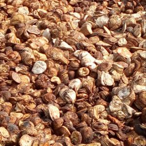  Partenariat D'affaire /hévéa/caoutchouc Naturel - autres société coopérative basée dans la région de san-pedro en côte d'ivoire ayant comme activité principale ,  la commercialisation de produits agricoles dont l'hévéa et exerçant sur le territoire de la région de san pédro 