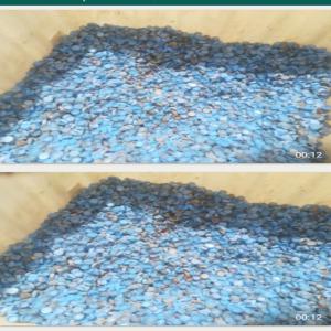  Bouchons De Bouteilles Plastiques - conditionnement disposons d'une importante quantité de bouchons pour bouteilles plastiques. si intéressé,  merci de nous le faire savoir.