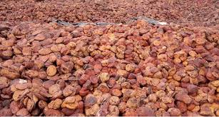  Client Pour Achat D'hevea - autres notre coopérative agricole souhaite entrer en contact avec des clients qui seraient prets à payer les fonds de tasse aux prix fixées par l'apromac.--nous sommes prets à vous fournir plus de 500 tonnes le mois et devenir votre fournisseur dans la région de san pedro